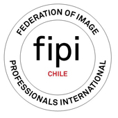 logo fipi